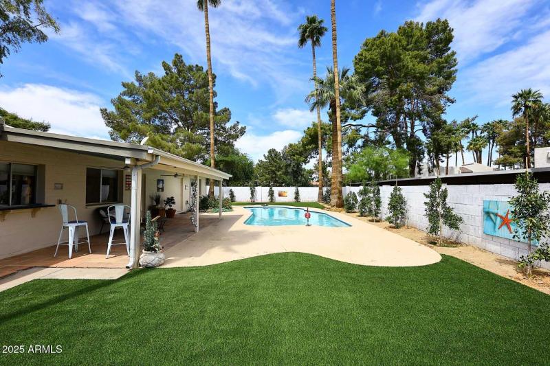 Backyard2