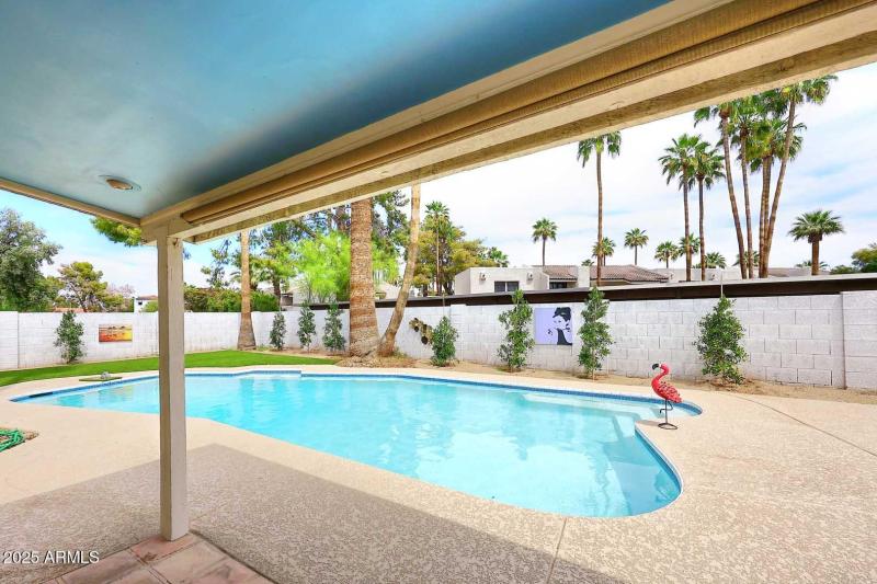 Covered Patio-View