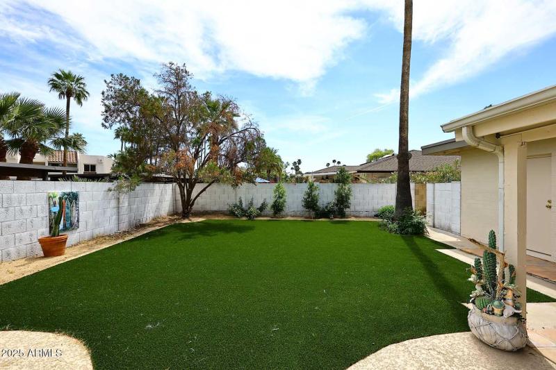 Grass Area