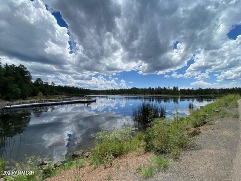 woodland lake 2