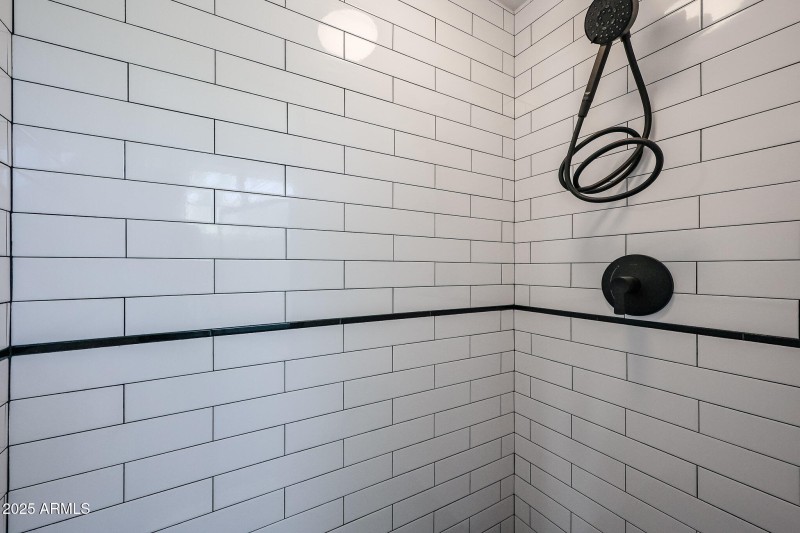 Primary Shower