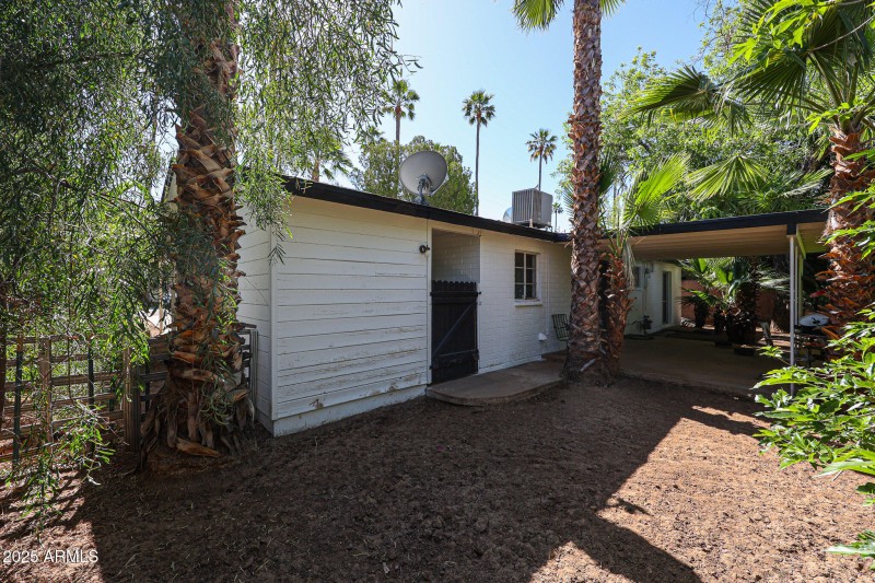 Rear Yard