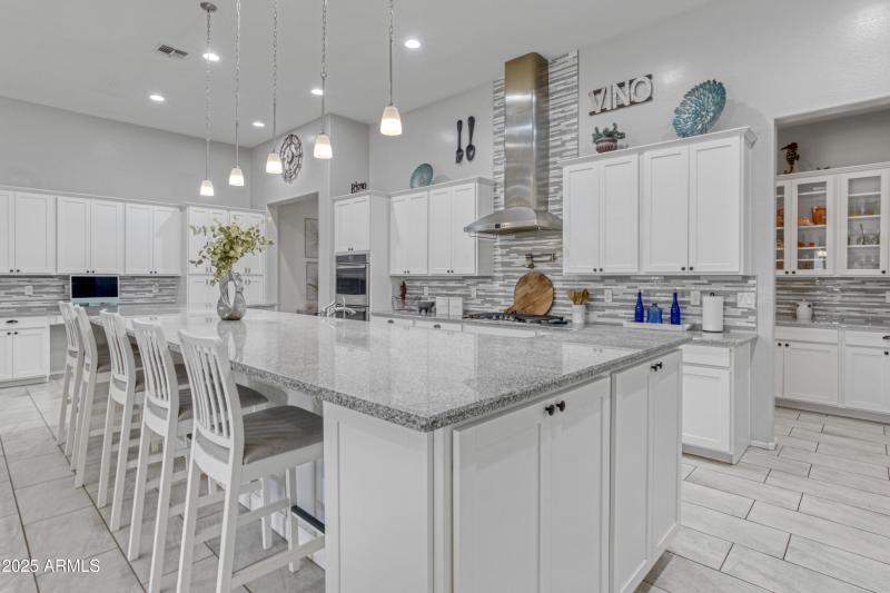 Stylish Gourmet Kitchen