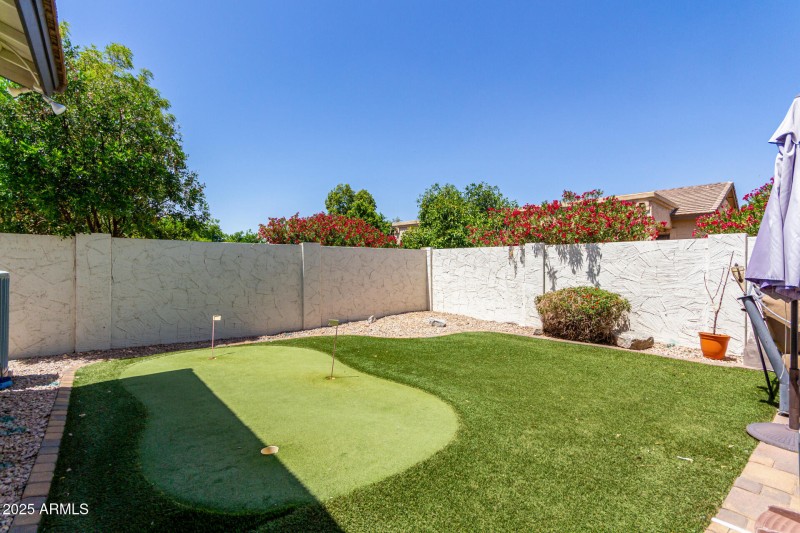Backyard