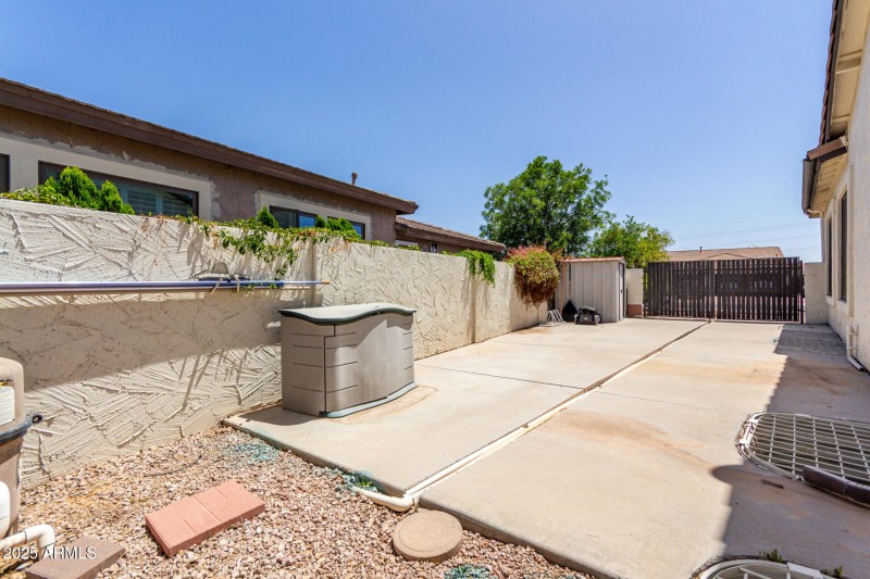 Backyard