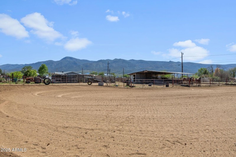 Arena