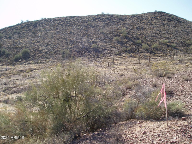 P4280012