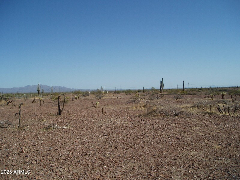P4280015