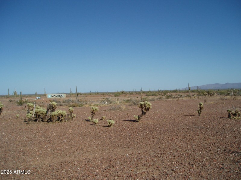 P4280017