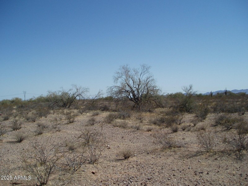 P4280003