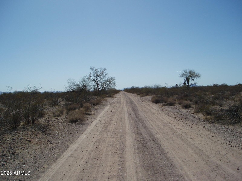 P4280004