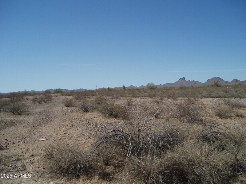P4280005