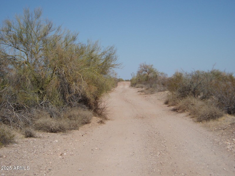 P4280007