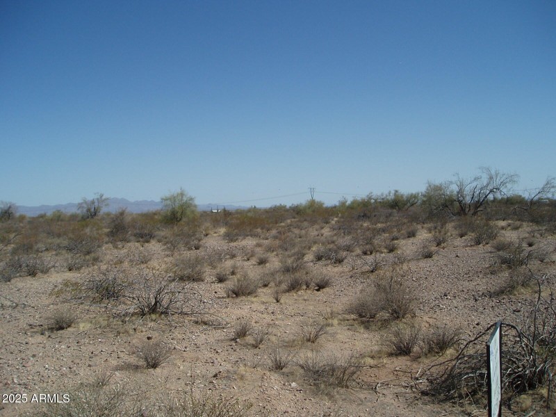 P4280009