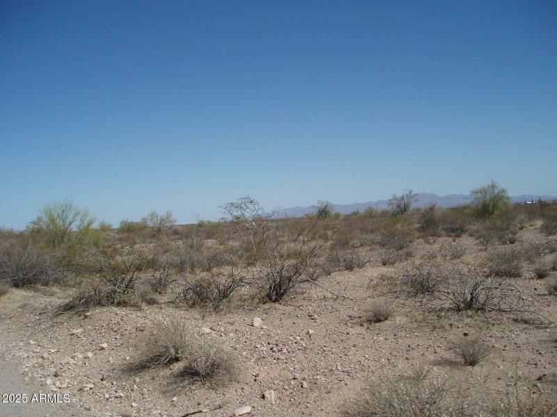 P4280010
