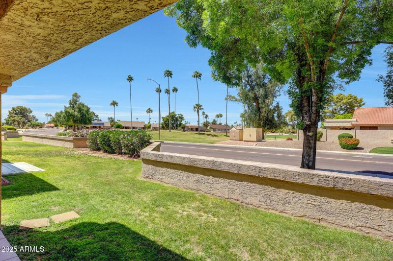 View from back patio