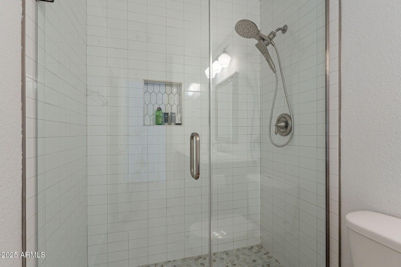 27-web-or-mls-Sapium-27