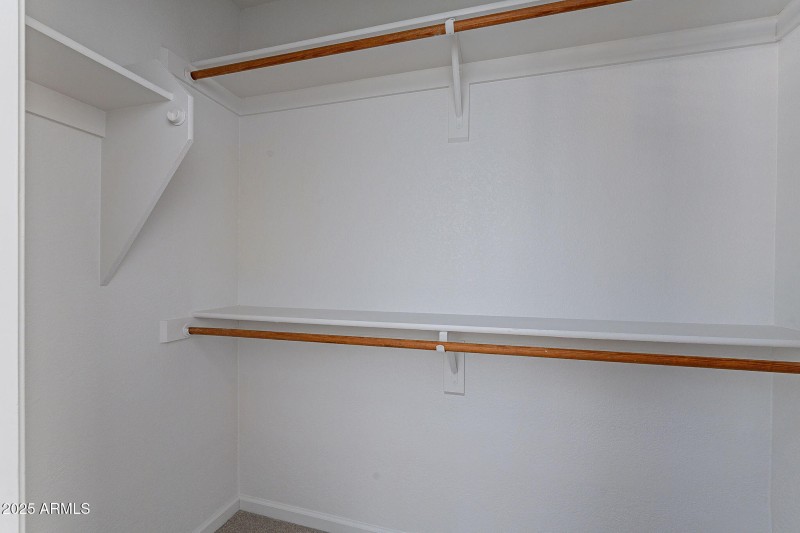 28-web-or-mls-Sapium-28