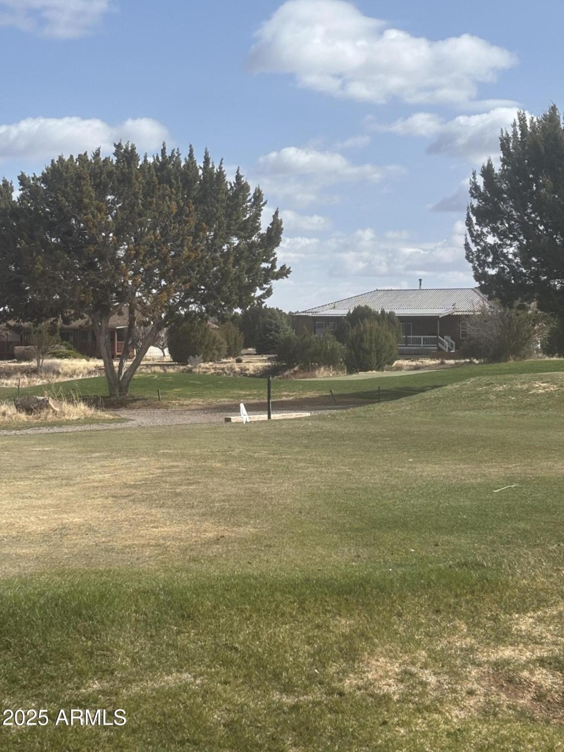 GOLF BEHIND THE HOUSE