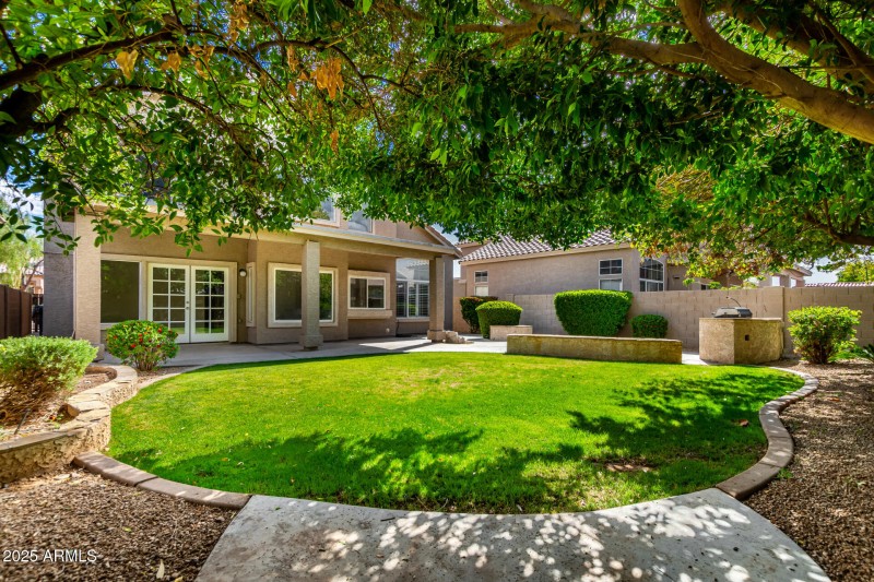 41 - Monte Vista