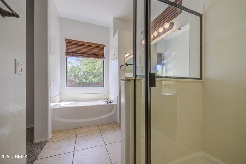 Primary Bath 4