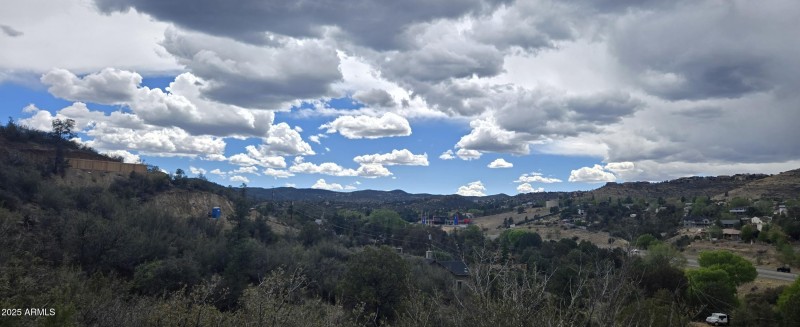 2 Upper Lot View 1