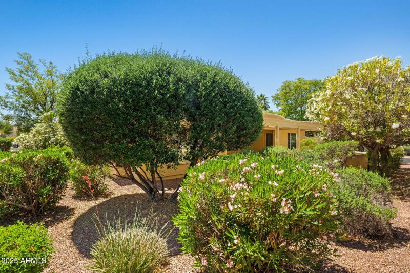 22-web-or-mls-Done-22