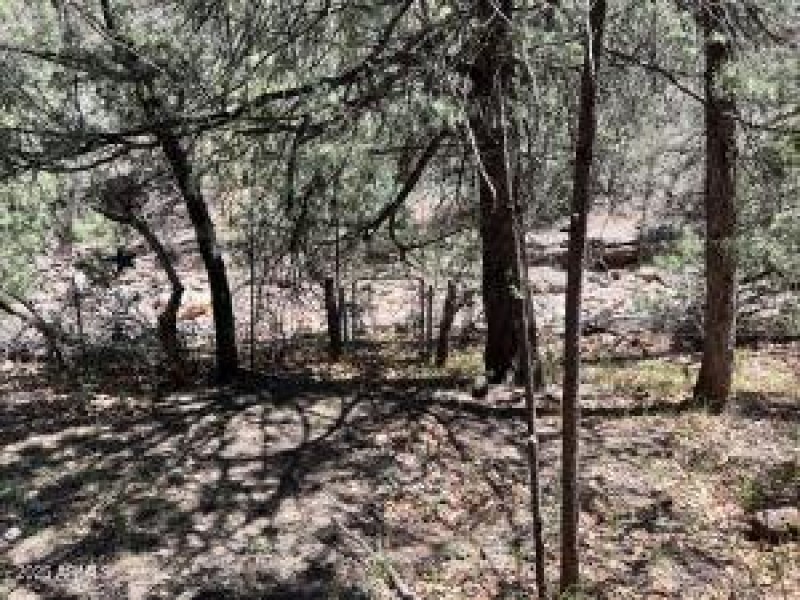 887 W Munsee Dr 18