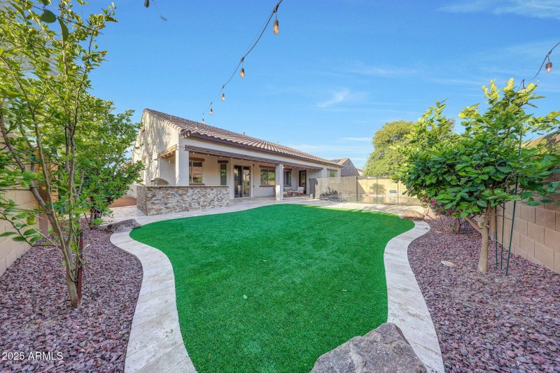 Turff back yard