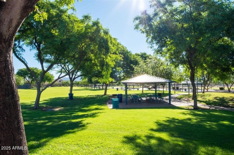 skyline-park-7