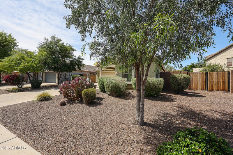 Side Yard