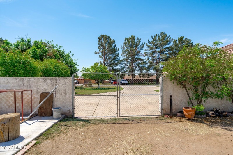 61-Backyard Views