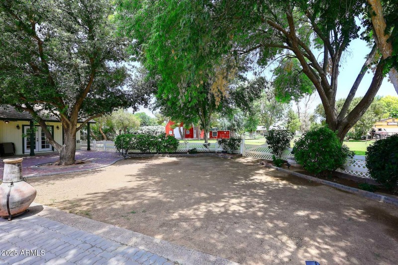 Backyard