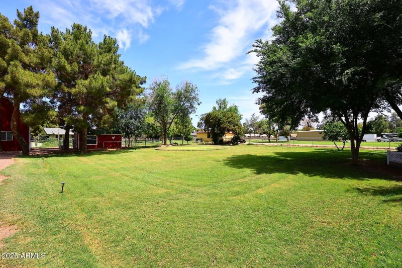 Rear Yard