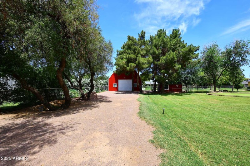 Rear Yard
