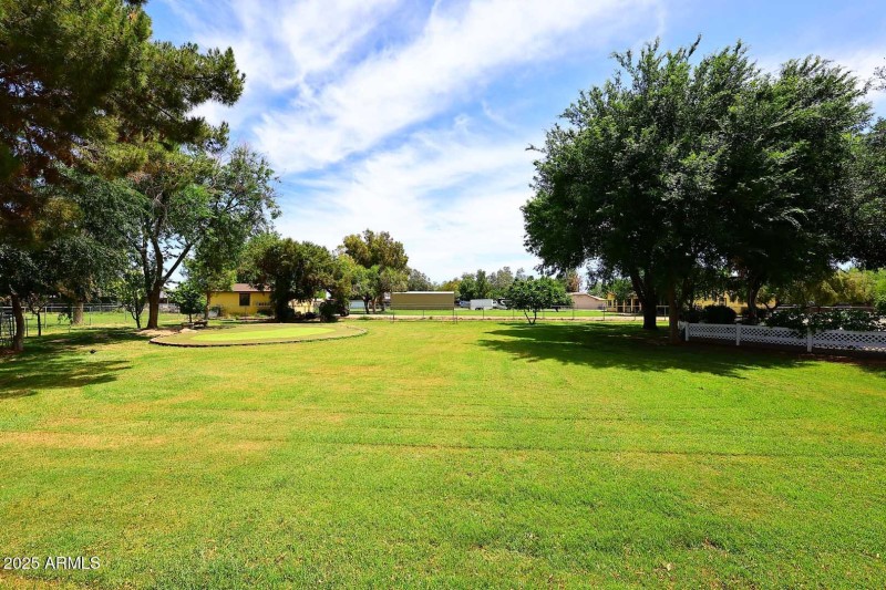 Rear Yard