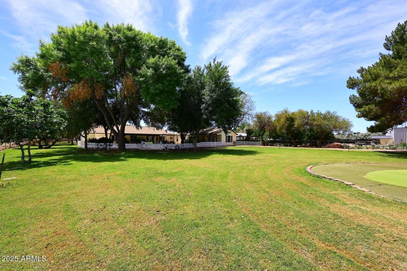 Rear Yard