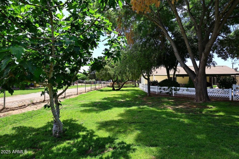 Rear Yard