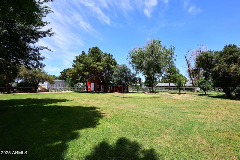 Rear Yard
