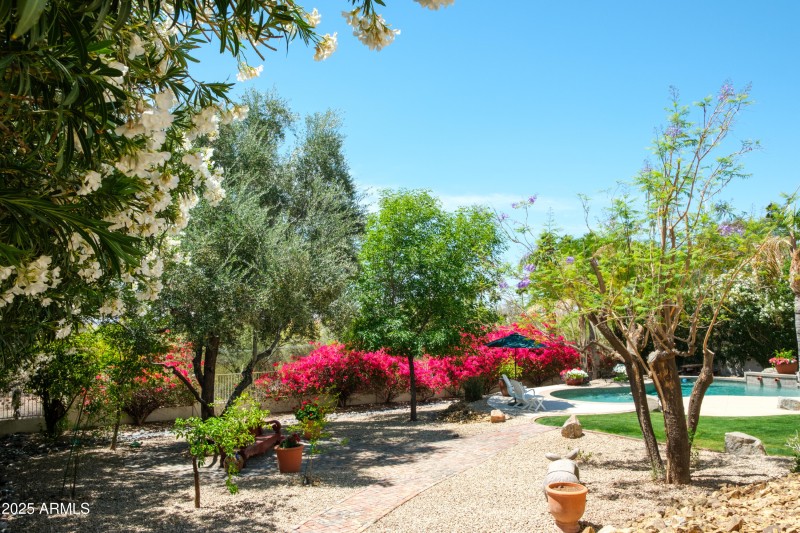 Backyard