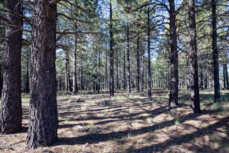 USFS