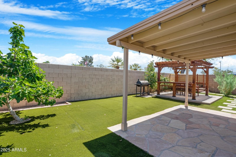 Backyard 2