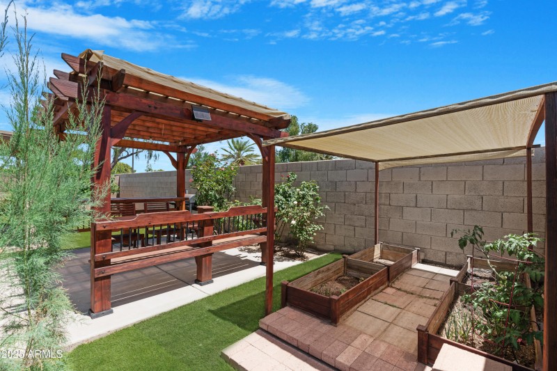 Backyard 3