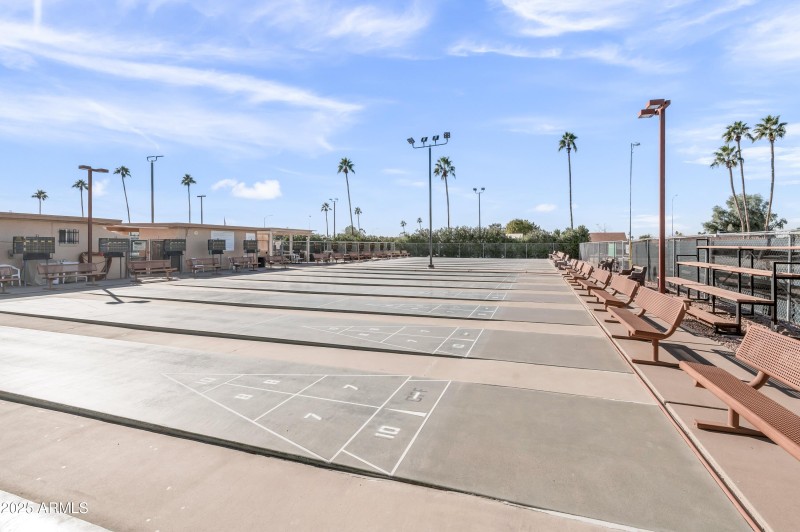 Community Shuffle Board