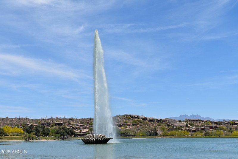 DSC_0029