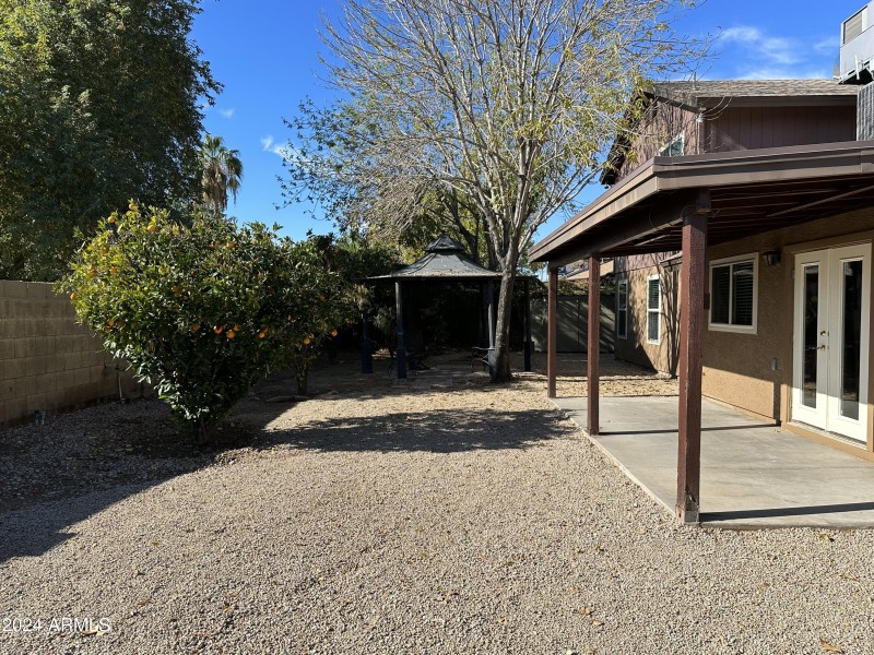 Backyard