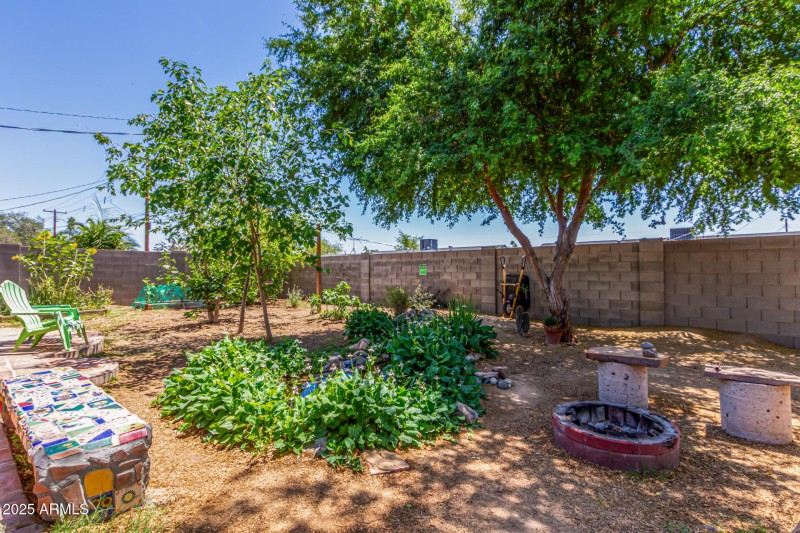 10 - Backyard01