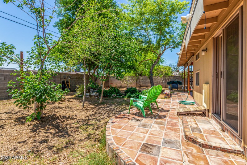 10 - Backyard02