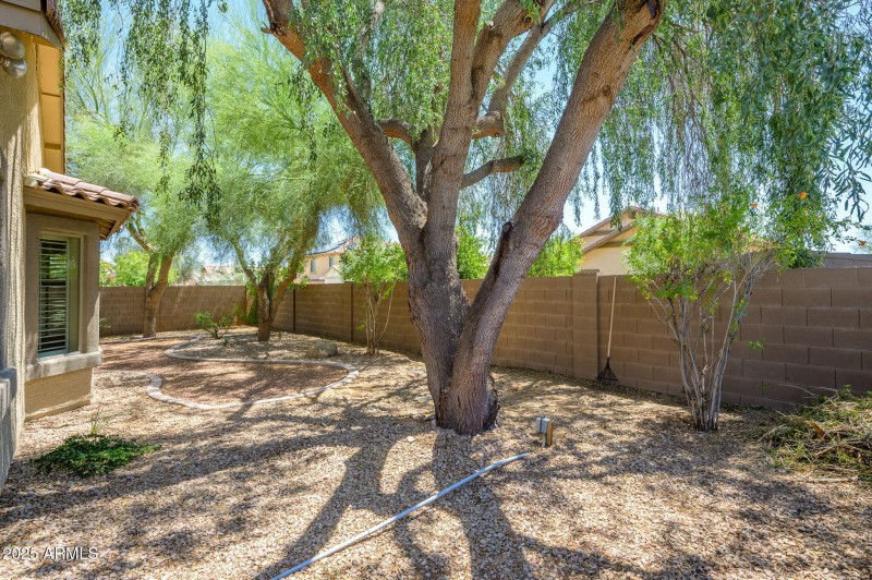 SHADY SOUTH FACING BACKYARD