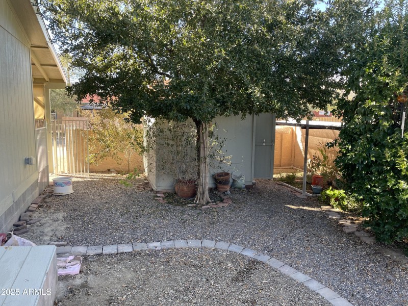 Shade Tree